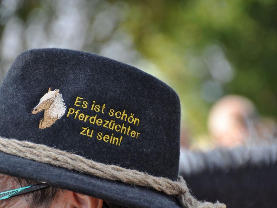 Rossfest - "Tag des Schwarzwälder Pferdes"